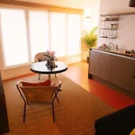 Aplace Antwerp - Marvellous Flats & Hotel Rooms - Leeuwenstraat 20